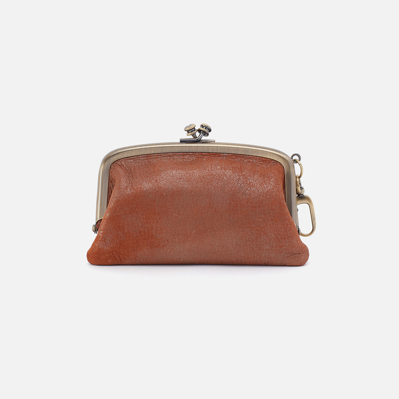 Cheer Frame Pouch In Metallic Leather - Patina